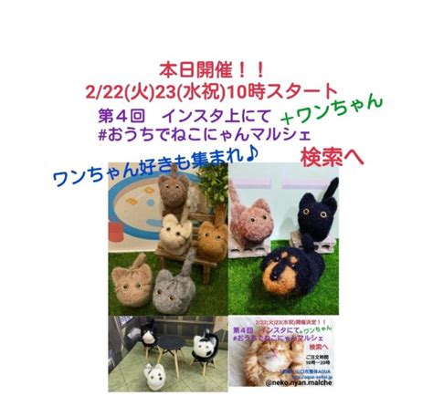 本日まで開催！！インスタにて『おうちでねこにゃんマルシェ』＋ワンちゃん♪～ねこ好き！！ワンちゃん好き！！集まれo／ ｜ 山口市平井に