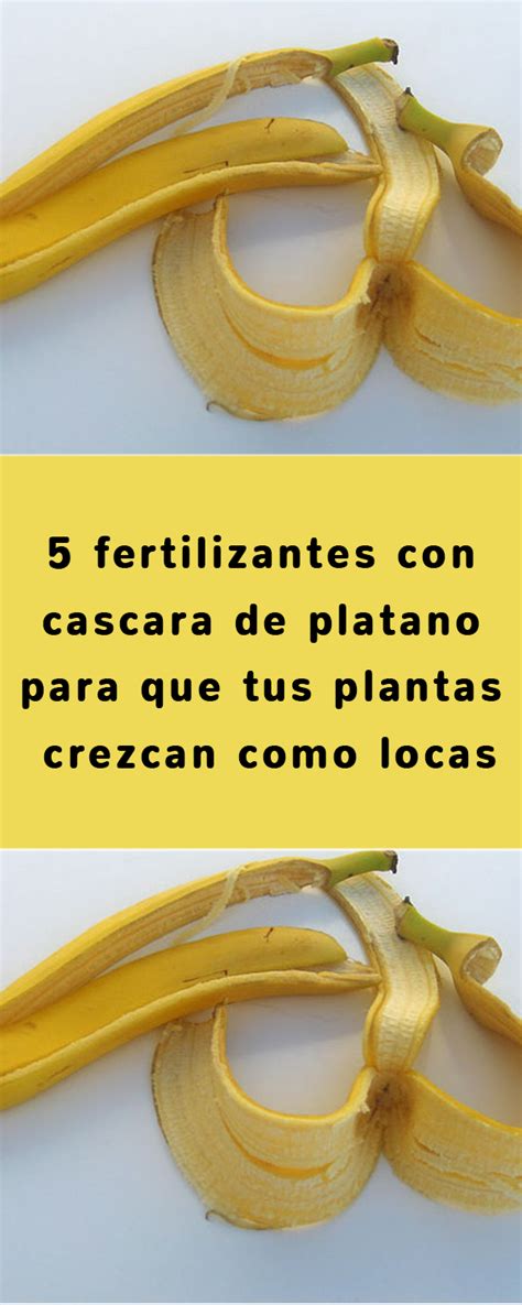 5 Fertilizantes Con Cascara De Platano Para Que Tus Plantas Crezcan Como Locas Mijardinycasa