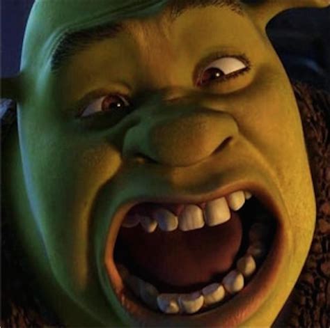 Shrek Film Series Donkey Puss In Boots Princess Fiona, PNG, 1036x1032px ...