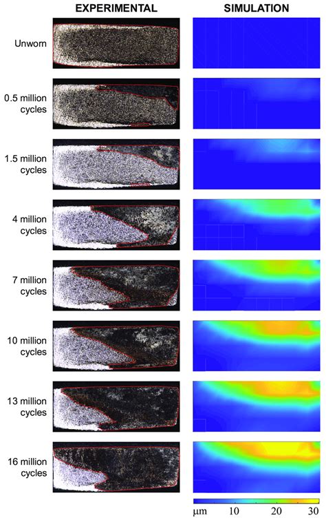 26 Evolution Of Contact Area On Upper Specimen With Respect To