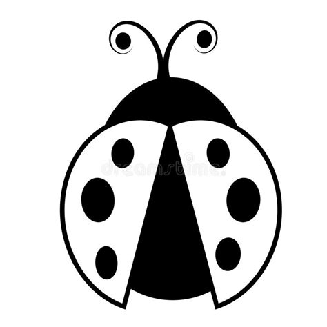 Black And White Ladybug Drawing Stock Vector Illustration Of Line