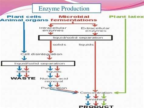 Microbes In Biological Controlfermentation And Enzyme Technology