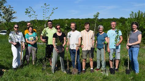 B Ume Gepflanzt Zeichen F R Artenvielfalt Und Artenschutz In