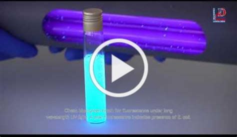 Water Detect Coliforms Ewc Diagnostics