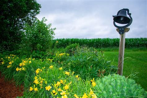 Dinner Bell Stock Photo Image Of Post Dinner Country 31112004