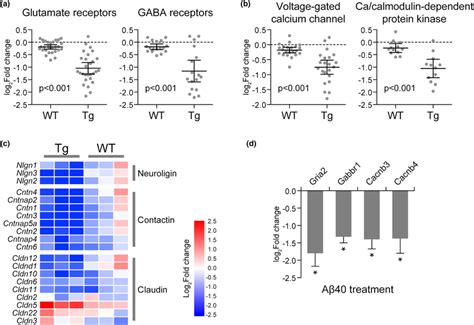 Impaired Neurovascular Coupling With Vascular Aβ Accumulation The