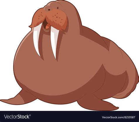 Cartoon Smiling Walrus Royalty Free Vector Image