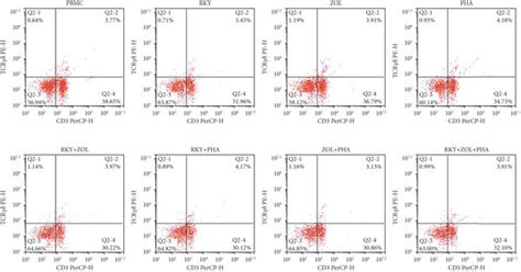 The Expansion Of T Cells In Each Group At Day Of Culture