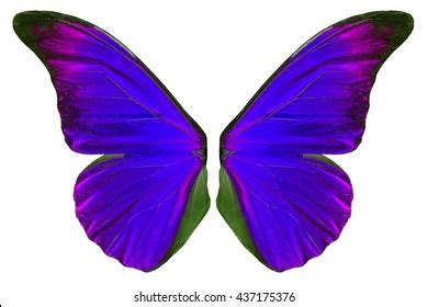 Purple Butterfly Wings