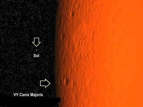 Canis Majoris Compared To The Sun