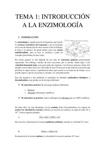 Formulario Enzimo Pdf