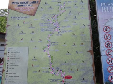 Bukit Larut (Taiping) - 2021 All You Need to Know BEFORE You Go (with ...