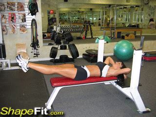 Flat Bench Abdominal Leg Raises - Abs Exercise Guide