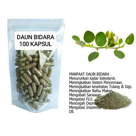 Jual DAUN BIDARA Isi 100 Kapsul Untuk Kulit Dan Pereda Nyeri Shopee