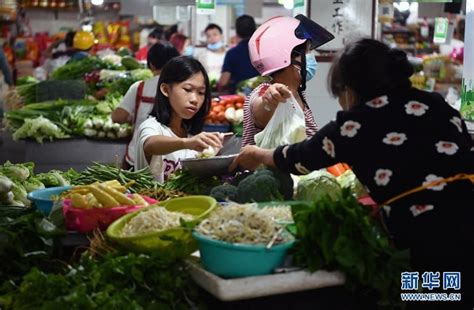 菜价上涨引发关注 商务部：多措并举做好今冬明春生活必需品市场保供稳价 经济·科技 人民网