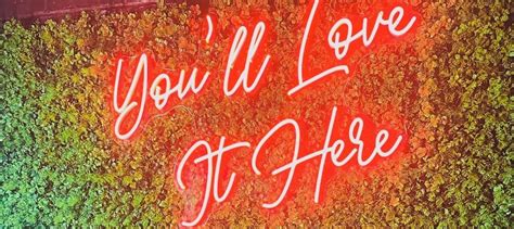 tspalace OnlyFans - Stats, Graphs, Photos & Profile Comparisons