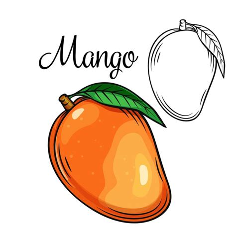 Premium Vector Mango Drawing Icon Hand Drawn Tropical Fruit Dibujos