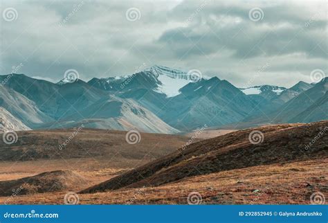 Polar tundra stock image. Image of quiet, alaska, permafrost - 292852945