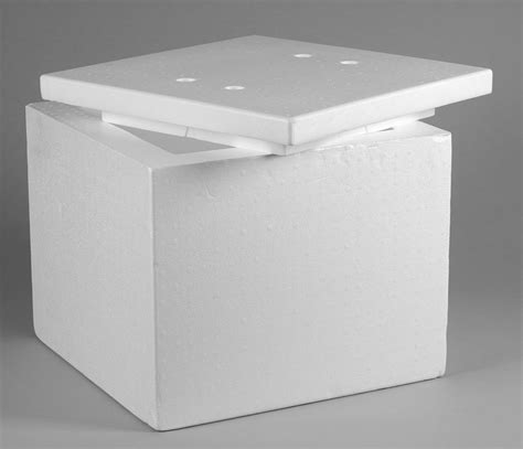 Normal Eps White Thermocol Ice Box High Density 3 Litre 90 Litre Rs