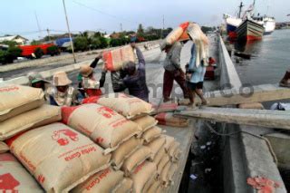 Bongkar Muat Semen Di Pelabuhan Sunda Kelapa Jakarta DATATEMPO