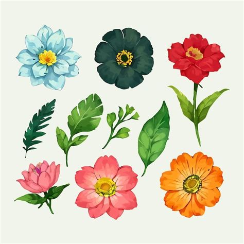 Wasserfarbenvektor Set Von Blumen Bl Tenbl Ttern Sammlung Illustration