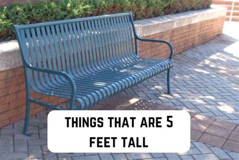 11 Common Things That Are 5 Feet Tall With Visuals Measuringly