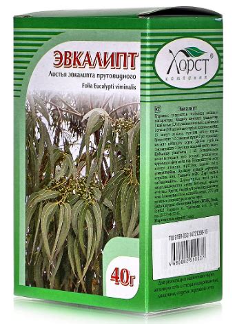 Трава Хорст Листья эвкалипта прутовидного | отзывы