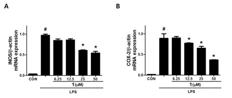 Effect Of Compound 1 On The Expression Of Inos A And Cox 2 B In Raw