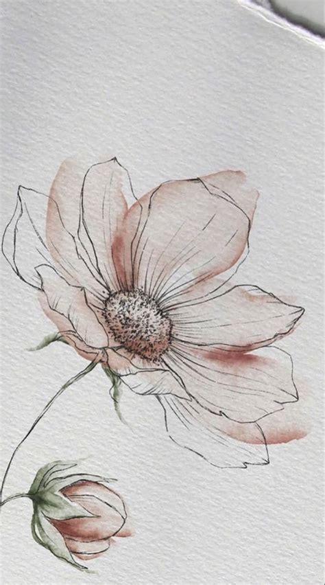 Pin by talina on رسم بسيط in 2024 Watercolor flower art Watercolor