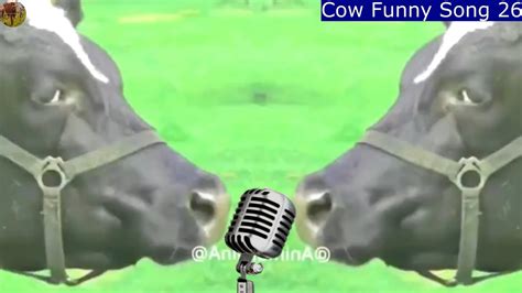 Funny Cow Dance 26 Cow Lovely Song And Cow Mooing Sounds Funny Cow