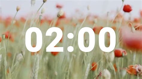 Minute Timer With Relaxing Music And Alarm Countdown Clock For