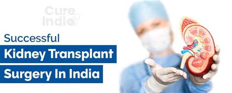 Kidney Transplant Surgery In India Best Doctors Hospitals And Cost