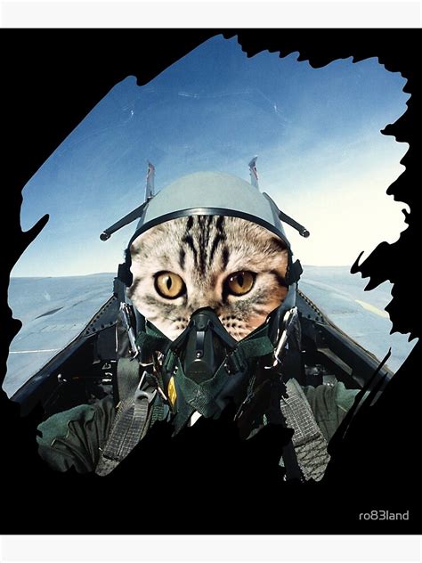 Domestic Cat Pilot Flying In A Jet Fighter Poster For Sale By