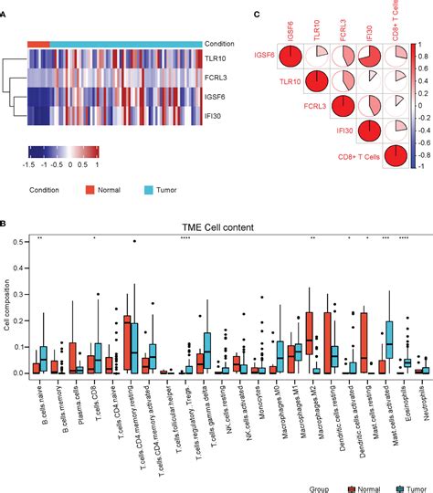 Frontiers Identification Of Cd T Cell Infiltration Related Genes