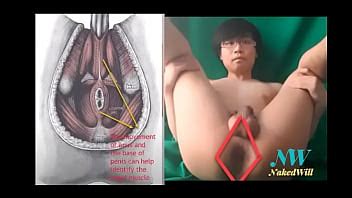Nakedwill Nude Demo Kegel Exercice Pour ED Incontinence Et Meilleur Sexe XVIDEOS