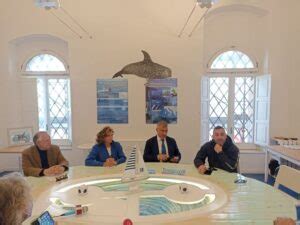 A Taranto Una Tavola Rotonda Su Impianti Eolici Off Shore E Cetacei