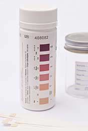 Measuring Ketosis With Ketone Test Strips: Are They Accurate?