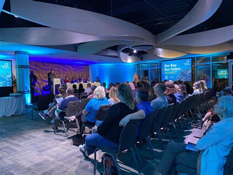 Marine scientists weigh in on health of Tampa Bay • St Pete Catalyst