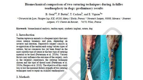 Tendon Ligament