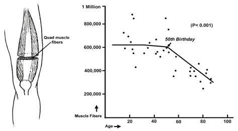 Five Simple Exercises to Prevent Age-Related Muscle Loss - Human Locomotion