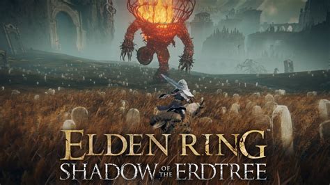 【エルデンリング Dlc】影の地を往く Dlc初見プレイ1【elden Ring】 Youtube