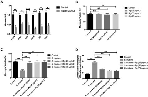 Rg Decreasing The Expression Of Virulence Associated Genes In S Mutans Download Scientific