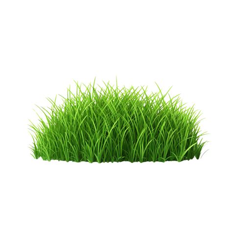 Ai Generated Green Grass Field Clip Art 40218707 Png