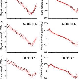 The Reticular Lamina And Basilar Membrane Vibrations Measured From A