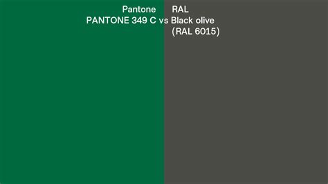 Pantone 349 C Vs Ral Black Olive Ral 6015 Side By Side Comparison