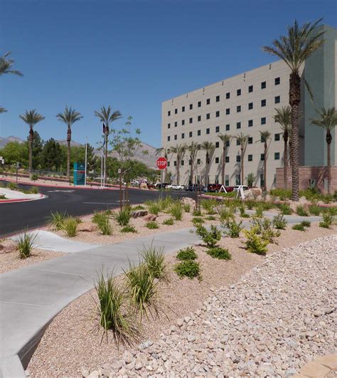 Summerlin Hospital - JW Zunino Landscape Architecture