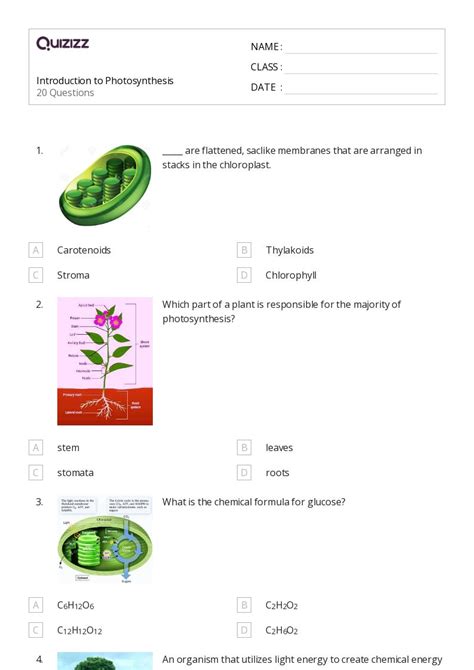 Photosynthesis Worksheets For Th Grade On Quizizz Free Printable