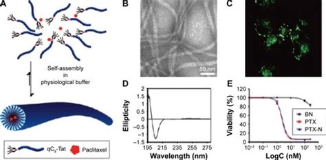 Full Article Self Assembled Peptide Nanomaterials For Biomedical