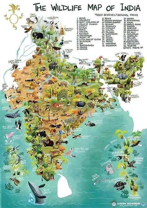 The Wildlife Map Of India Canvas Print For Sale By Rohanchak India