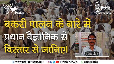 Bakri Palan Kaise Kare Goat Farming बकर पलन सरकर यजन Goat